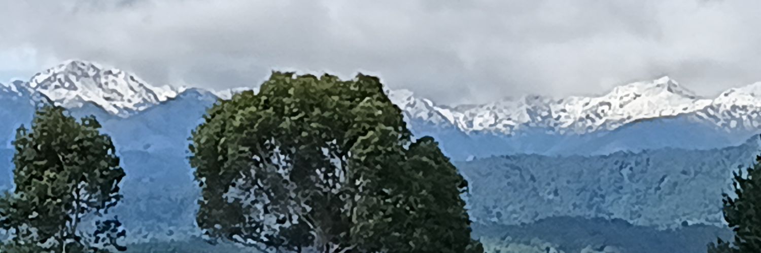 Diane Raiani🐦 banner