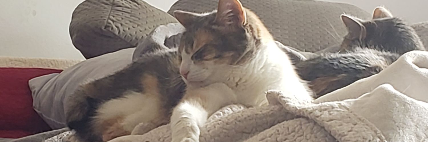 APowerIntrovert's profile banner image