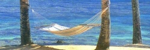 Sue & Brew 🇺🇦🇺🇦 banner