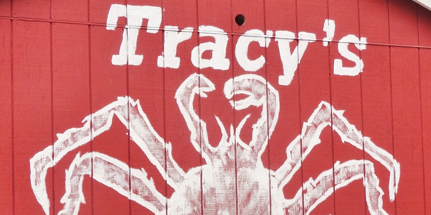 TracysCrab's profile banner image