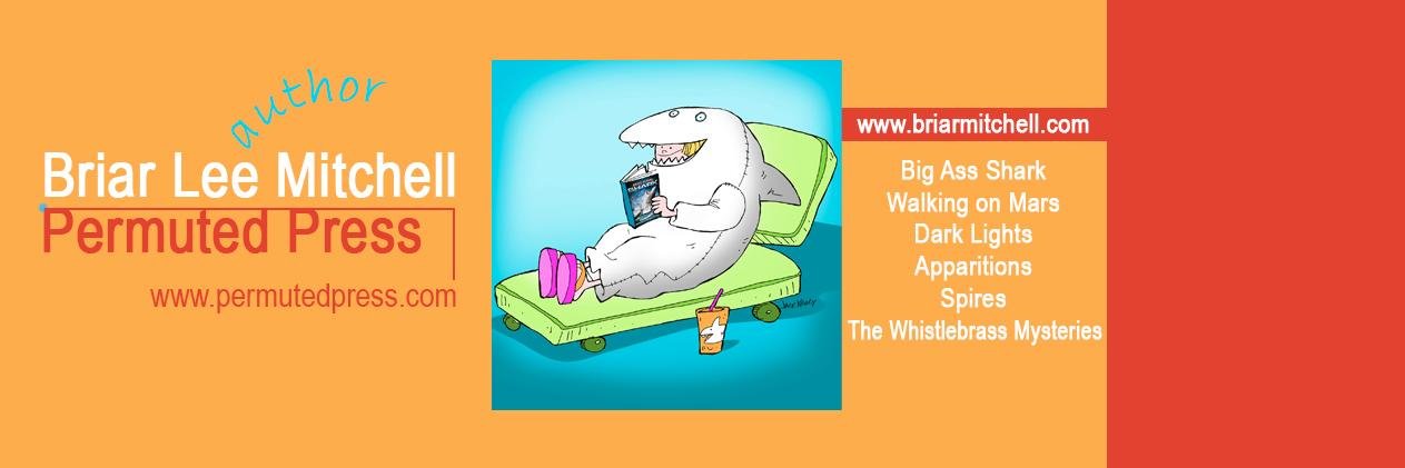 Briar Lee Mitchell banner