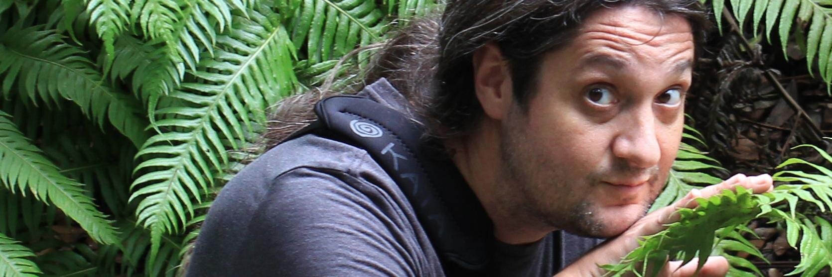 Patancillo's profile banner image