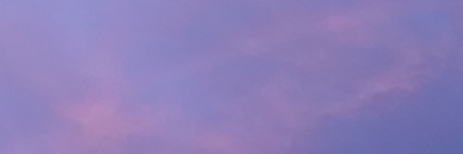 druskisa's profile banner image