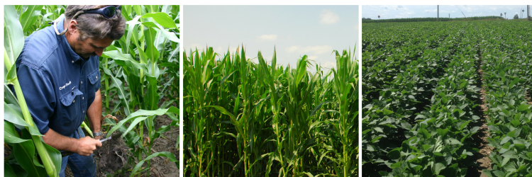 Crop-Tech Consulting banner