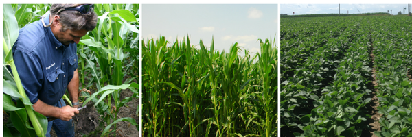 CropTechInc Profile Banner