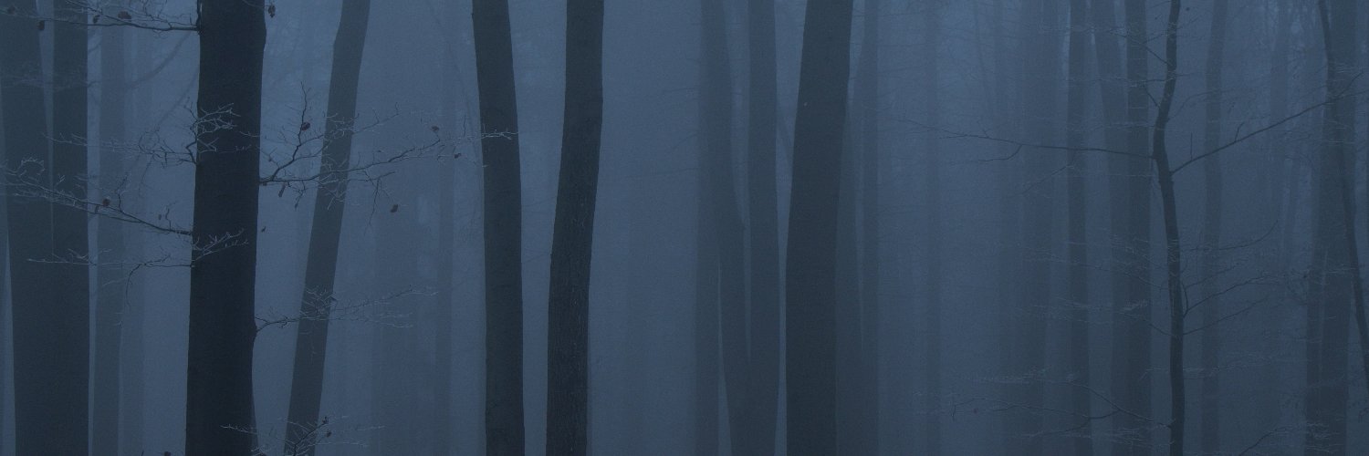 headonabody's profile banner image