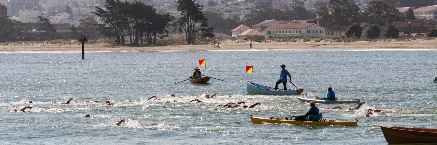 Lisa Newman-Wise banner