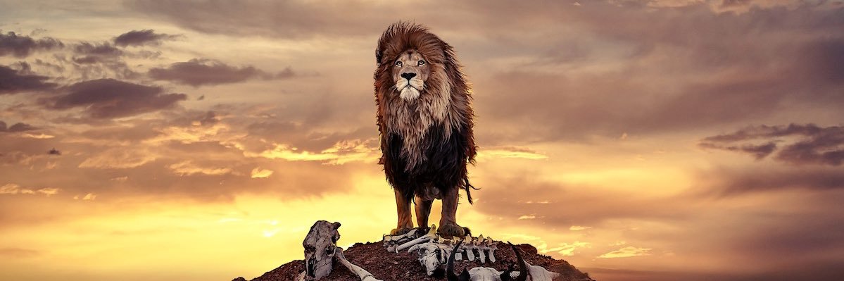 matt__tom's profile banner image
