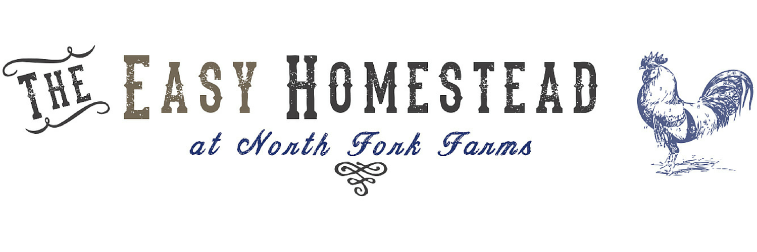 The Easy Homestead (@Easyhomesteader) / Posts / X