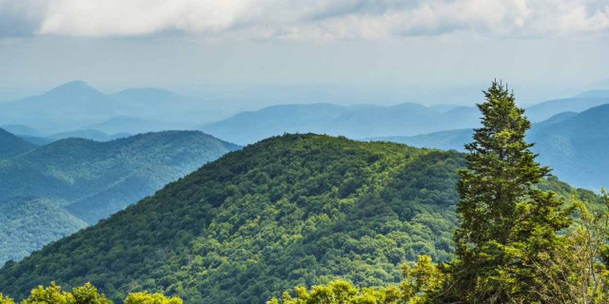 TNRepub's profile banner image