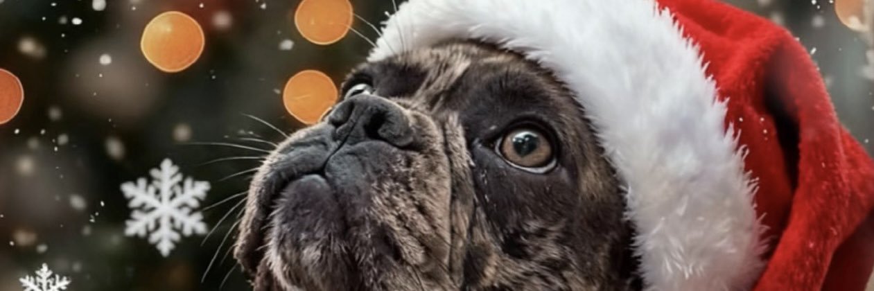 boreslya's profile banner image