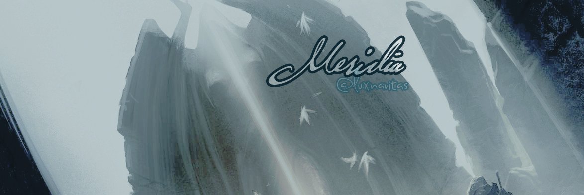 luxnavitas's profile banner image