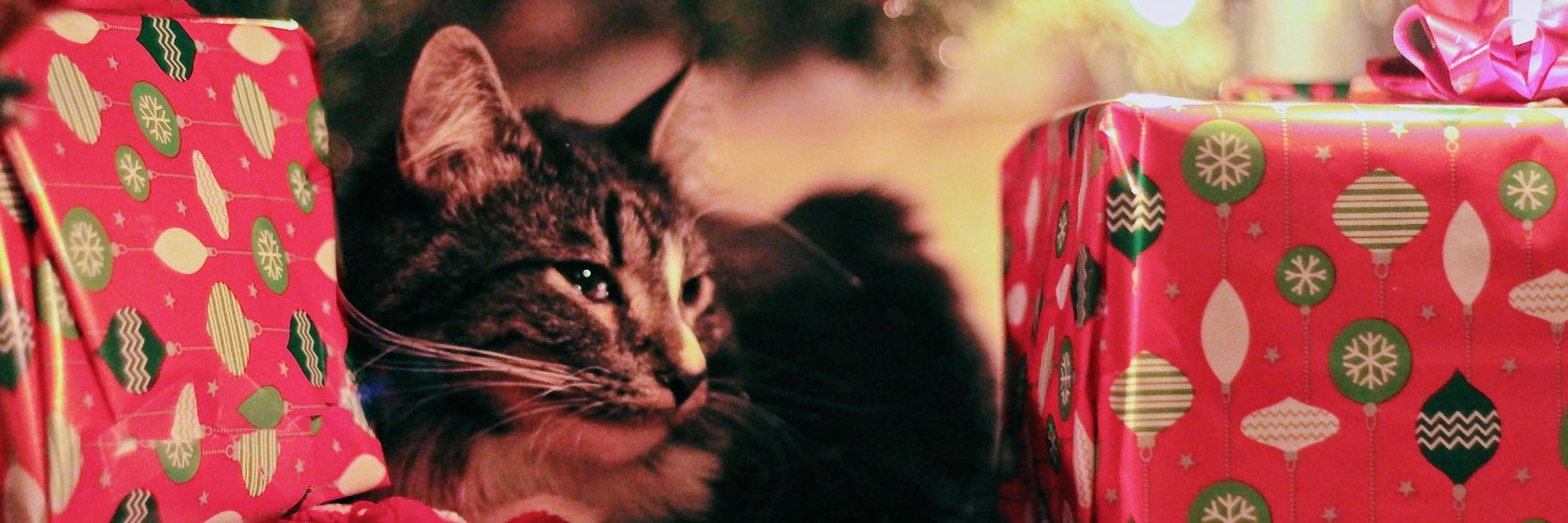 EngblomMaria's profile banner image