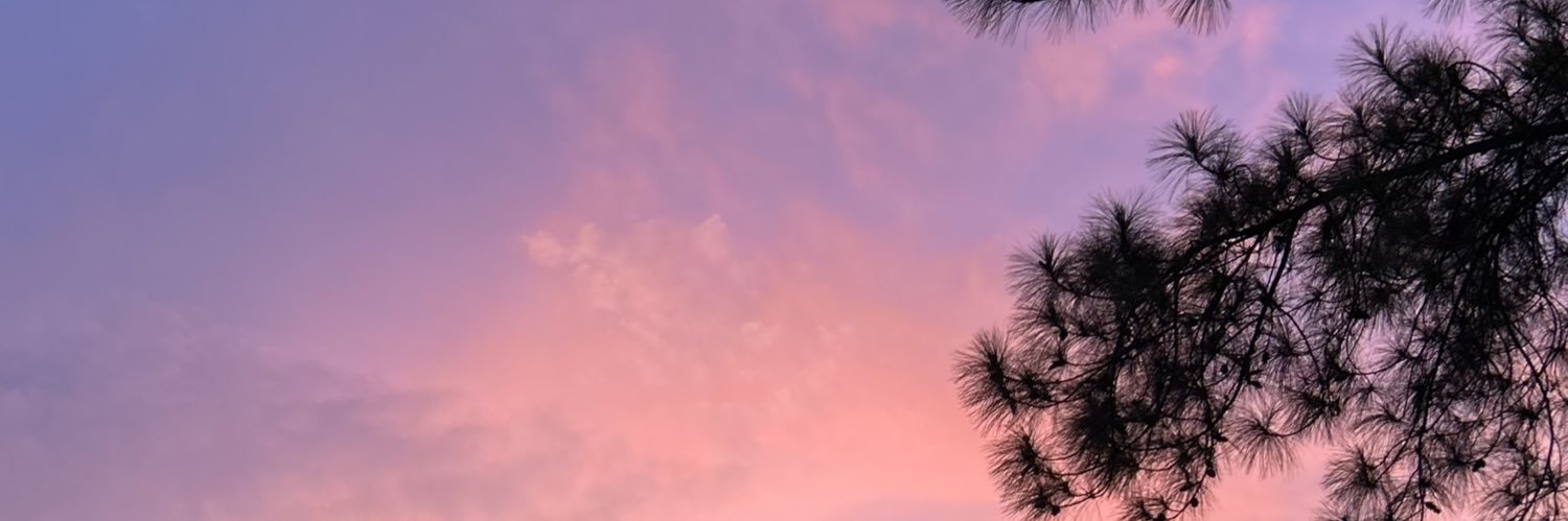 melannss's profile banner image