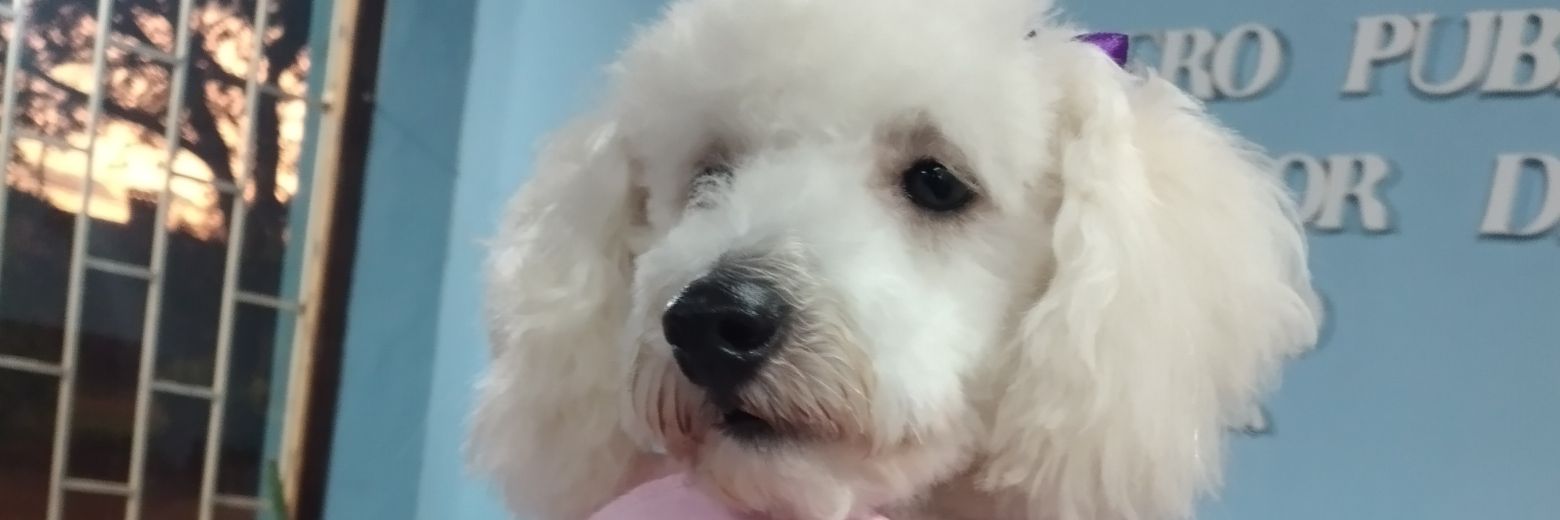 VaneDelgadill's profile banner image