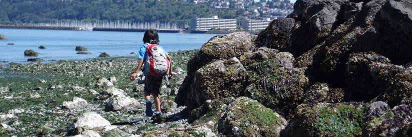 STEM Teaching Tools banner