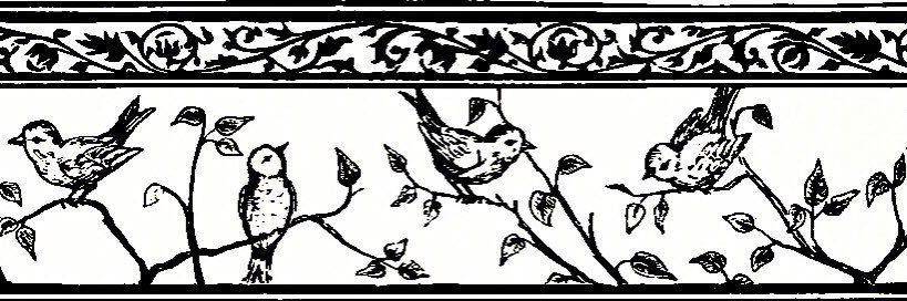 دانيه القحطاني banner