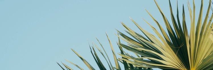 Adorejass's profile banner image