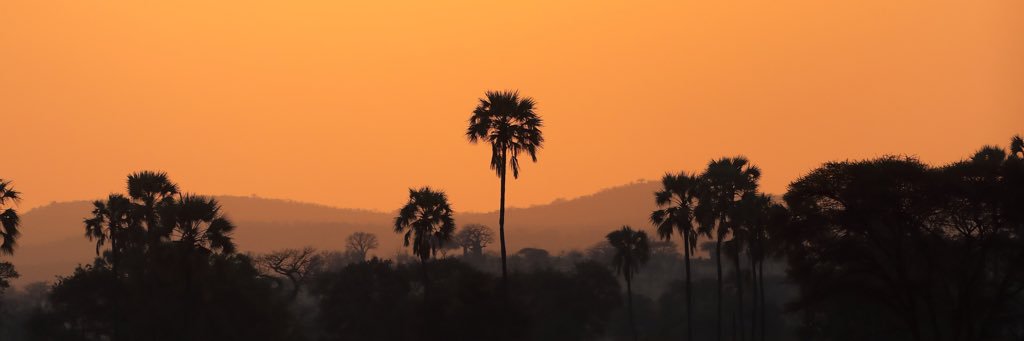 Benjamin W Blue banner