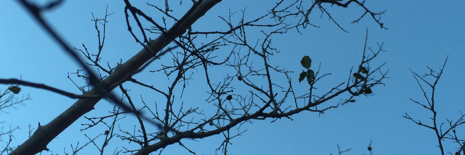 leah_200's profile banner image