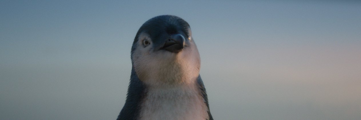 Bank of Melbourne banner