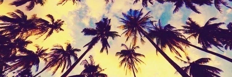 Analiia_Sanchez's profile banner image
