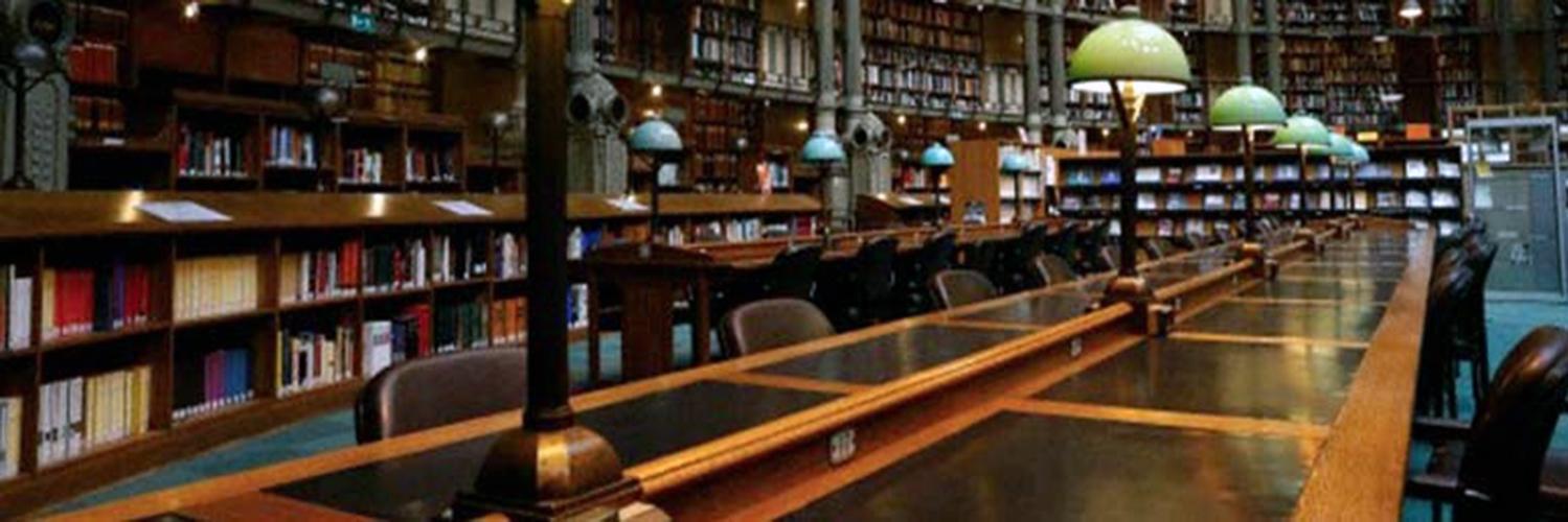 thecastlefolio's profile banner image