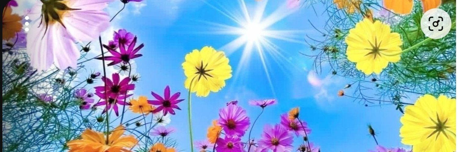 Sandra✨️ banner