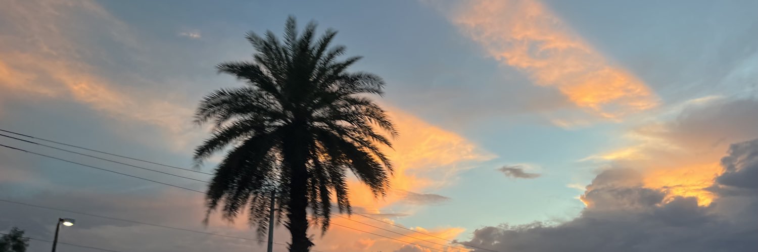 _emilysimon_'s profile banner image