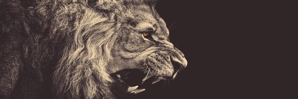 1sercandemir's profile banner image
