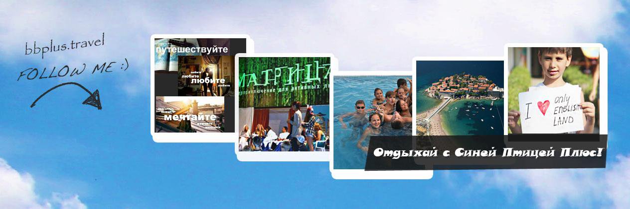 Bluebirdplus's profile banner image