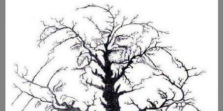 basnanlohy's profile banner image