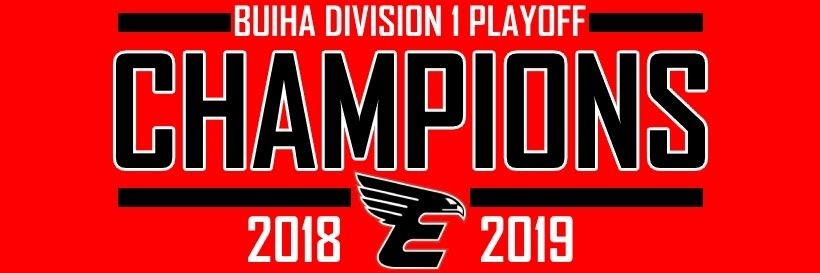 Edinburgh Eagles banner