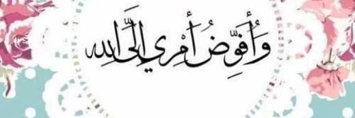 lOlOMubarak's profile banner image