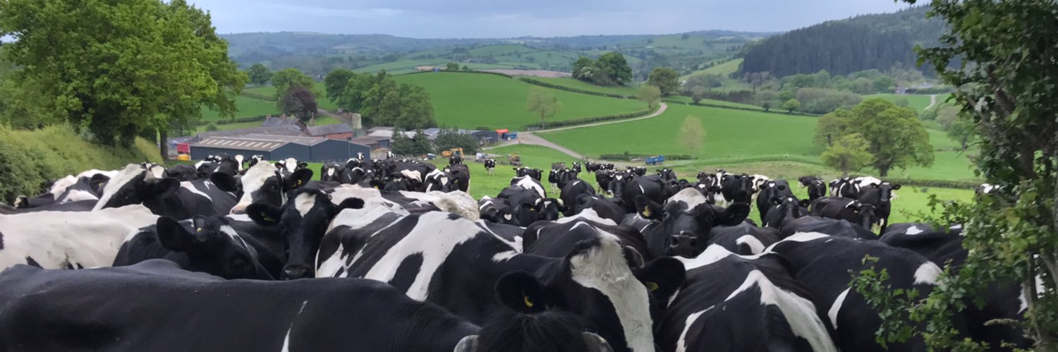 daleym11's profile banner image