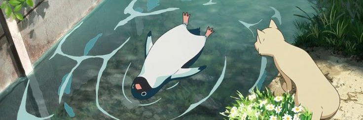 alsshha's profile banner image