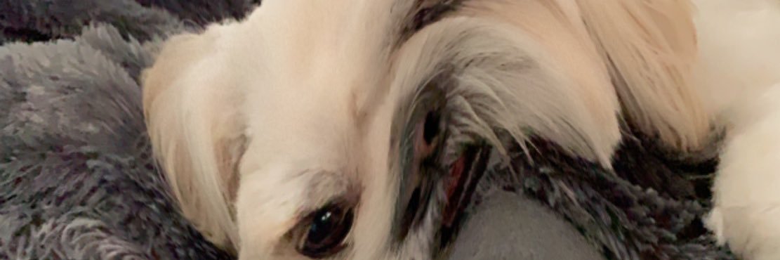 Alessandro__Pat's profile banner image