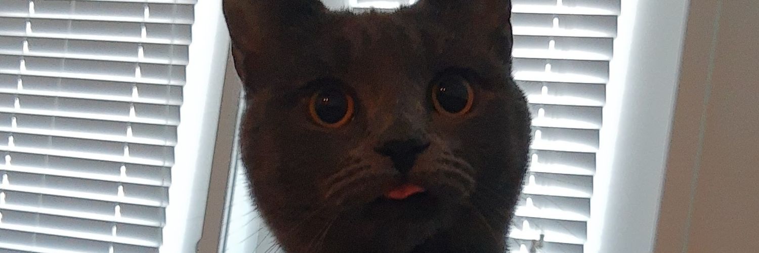 Shmeagatron Johnson banner