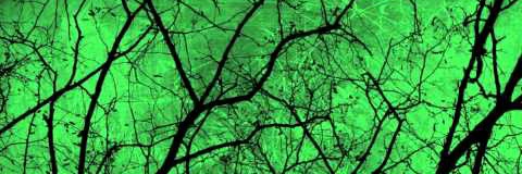 Backstabber420's profile banner image