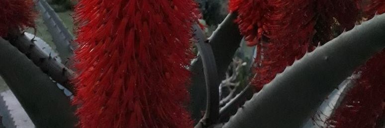 Chandregould's profile banner image