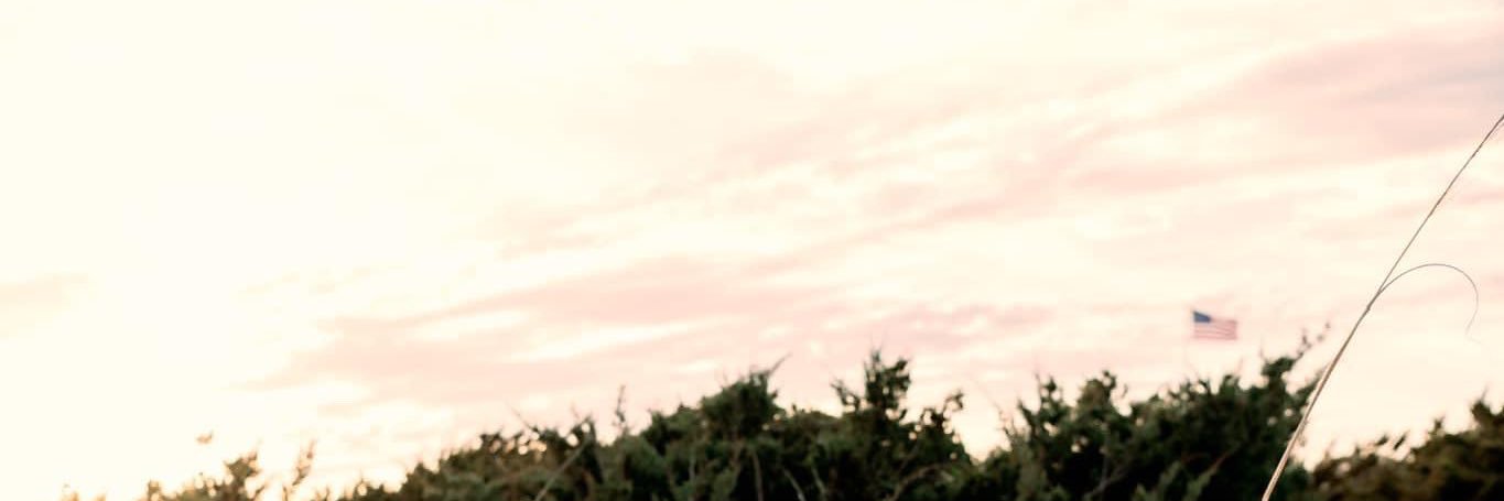 PanerasFinest's profile banner image