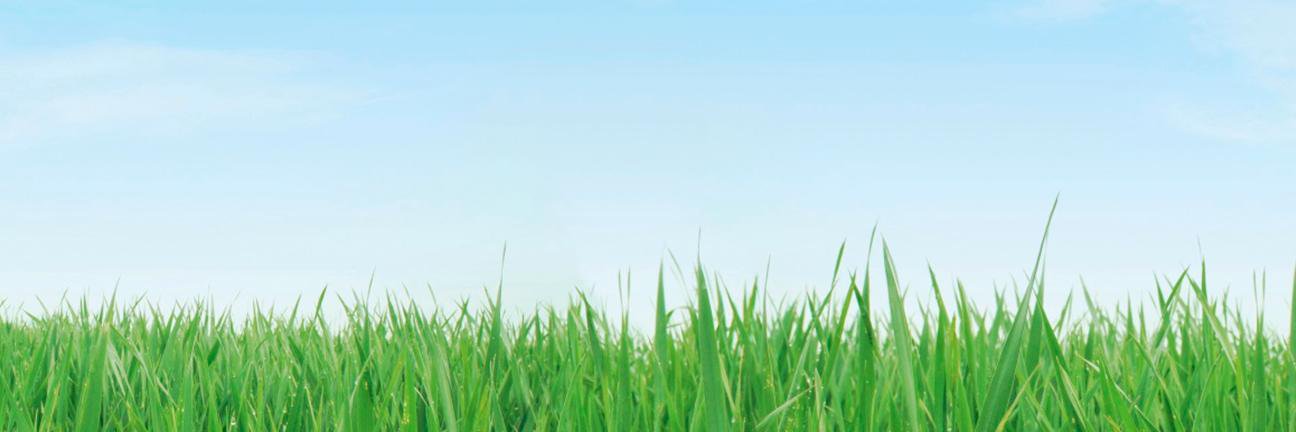 nhsh's profile banner image