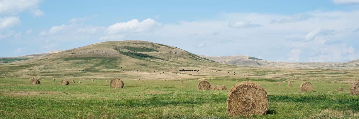 Apt Interactive banner