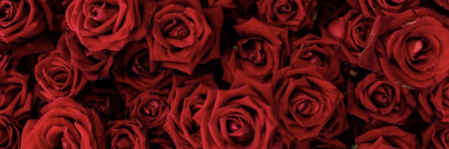 zoozi_4's profile banner image