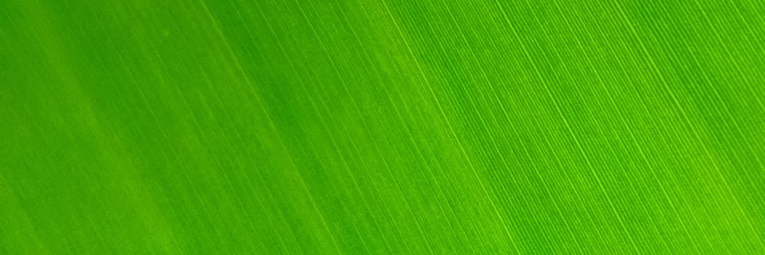 Delestro's profile banner image