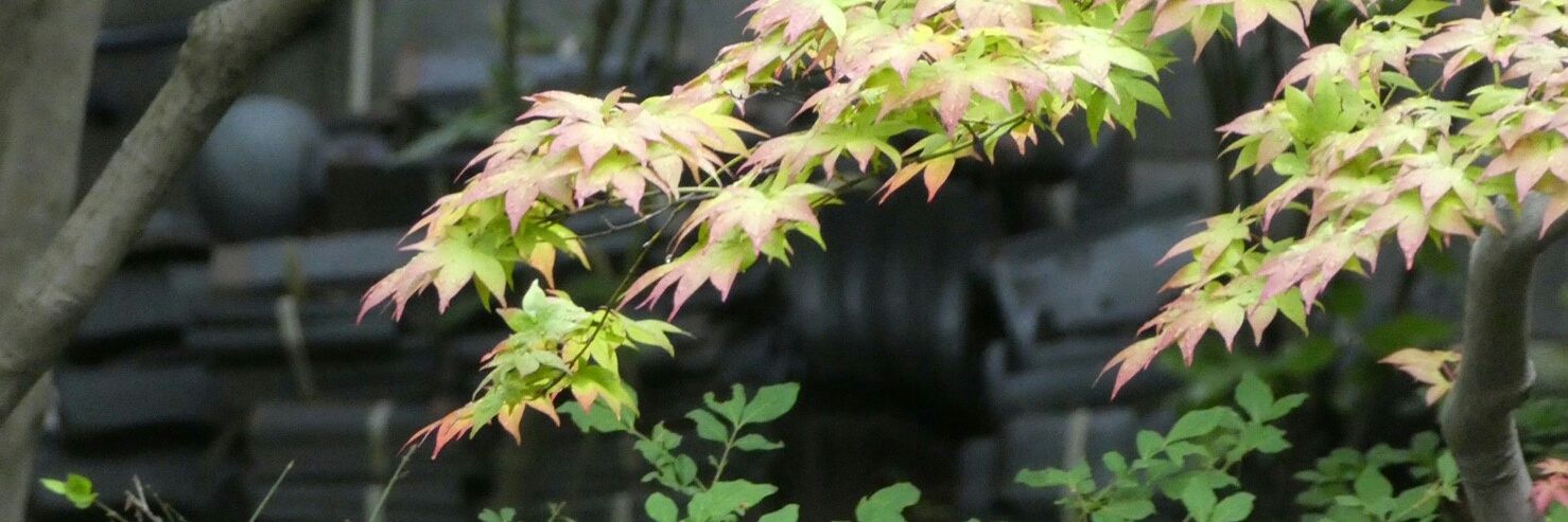 11msay's profile banner image