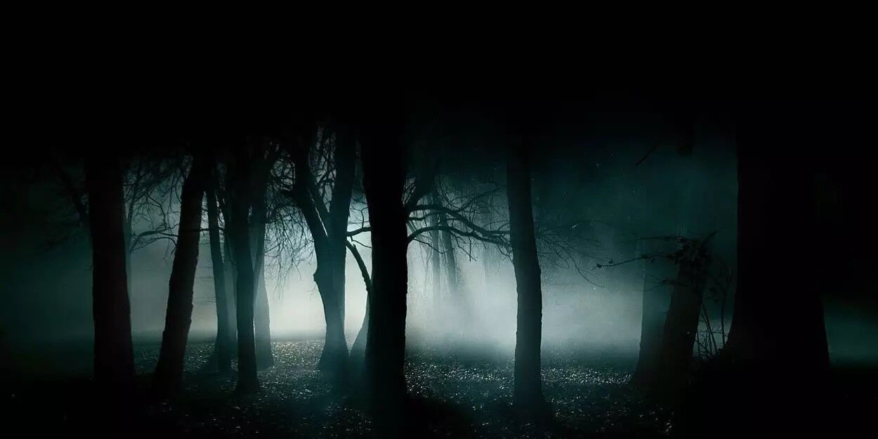 MrStevenWood's profile banner image