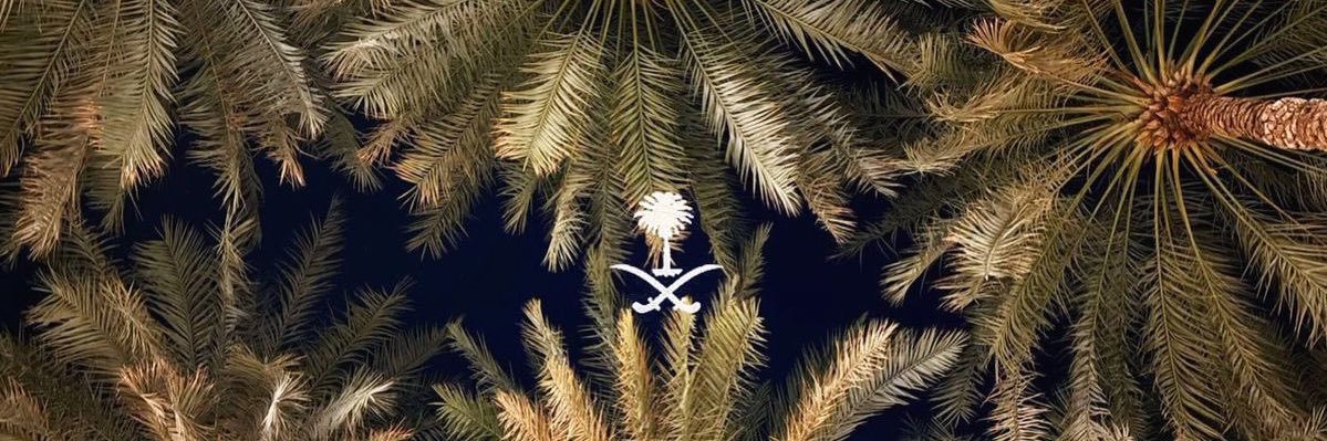 Mjd_MMO's profile banner image