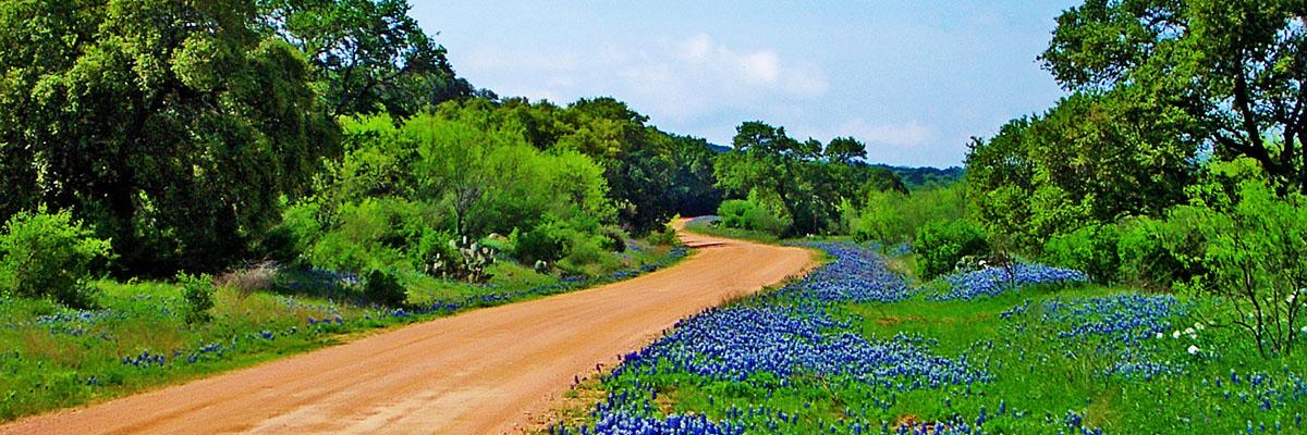 MariaTakesTX's profile banner image