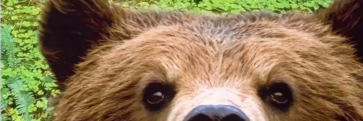 Kingdom Minded ☧ banner